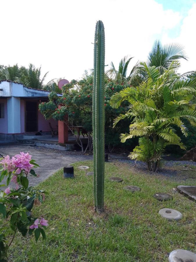 Hostel Rancho Tranquillo Moyogalpa Exteriér fotografie
