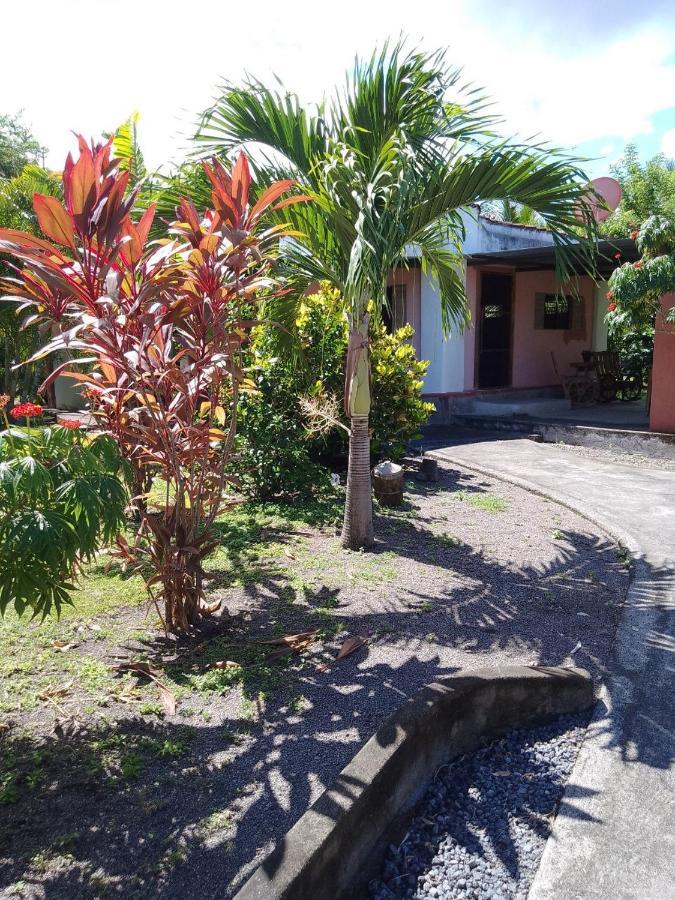 Hostel Rancho Tranquillo Moyogalpa Exteriér fotografie