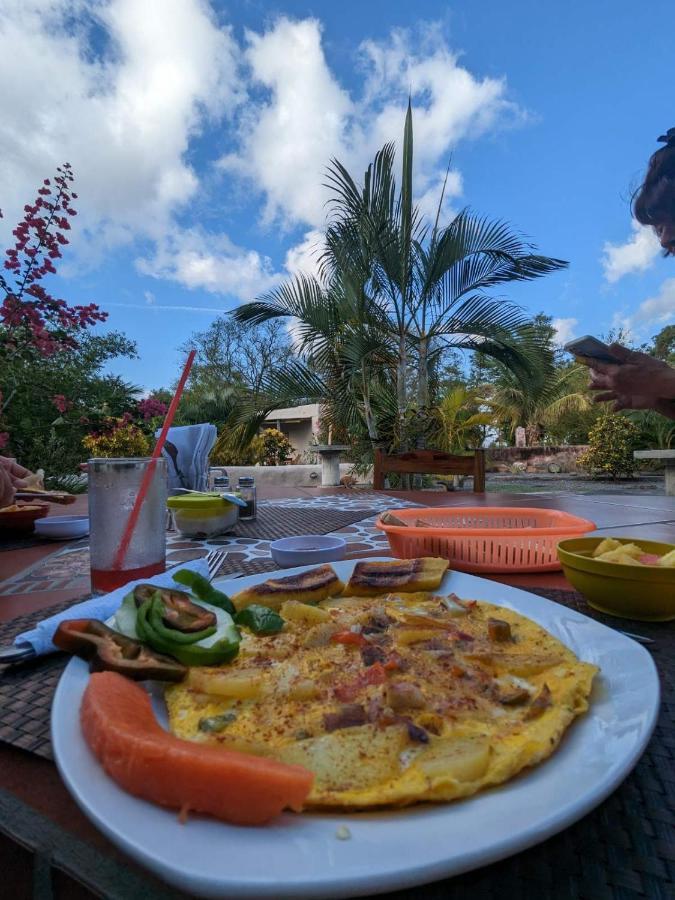 Hostel Rancho Tranquillo Moyogalpa Exteriér fotografie