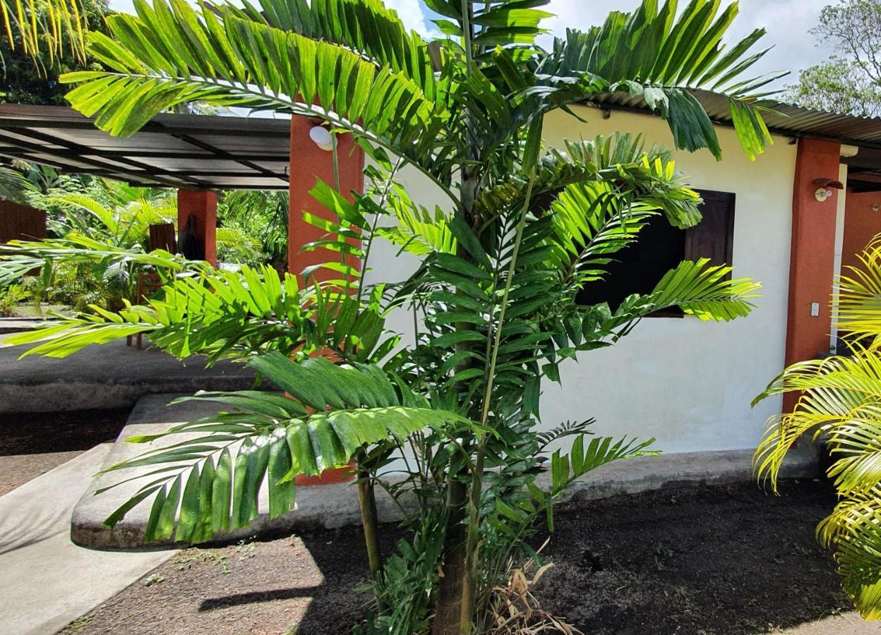 Hostel Rancho Tranquillo Moyogalpa Exteriér fotografie